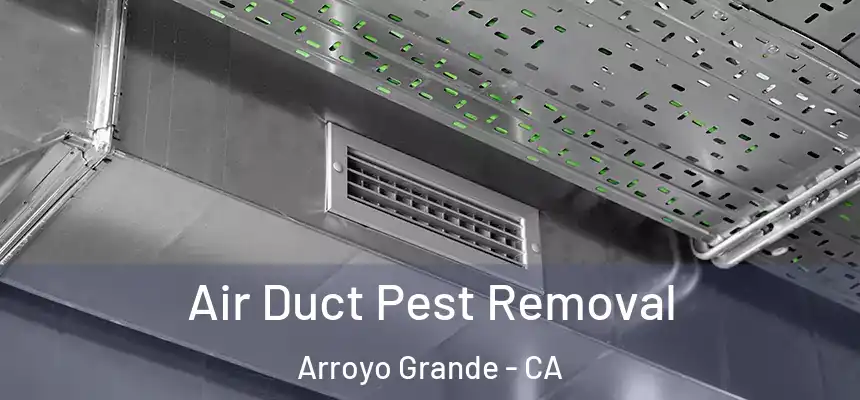  Air Duct Pest Removal Arroyo Grande - CA