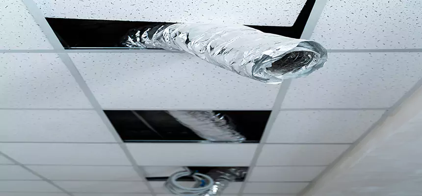 Our Air Duct Pet Hair Removal Services in Arroyo Grande, CA