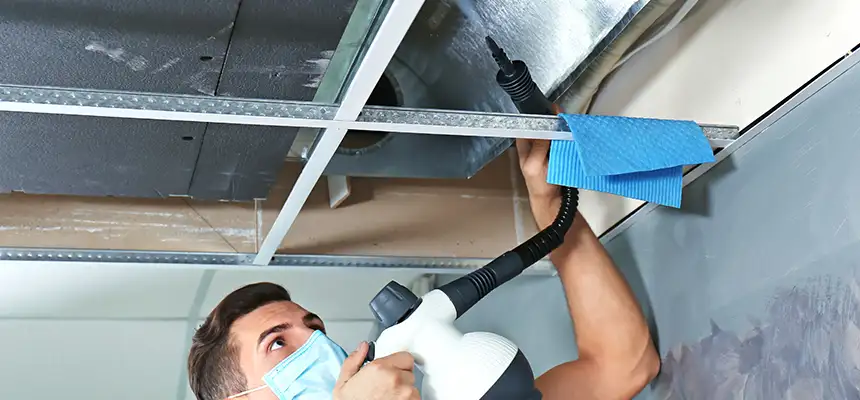 Our Air Duct Rodent Removal Services in Arroyo Grande, CA