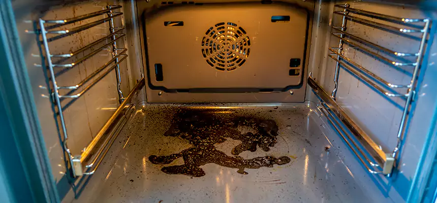 Our Dryer Vent Mold Cleaning Services in Arroyo Grande, CA