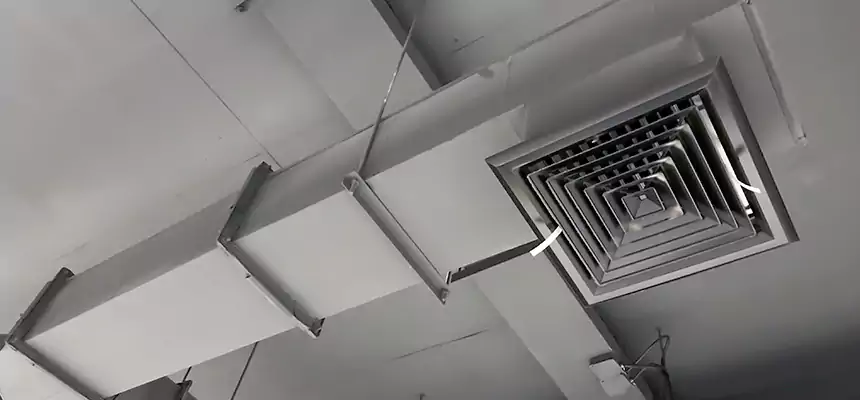 Our Rodent Droppings In Vents Services in Arroyo Grande, CA