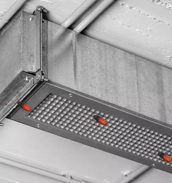 About Air Duct Cockroach Removal in Arroyo Grande, CA