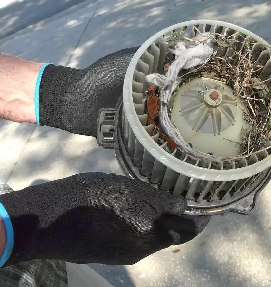 About Air Duct Mice Removal in Arroyo Grande, CA