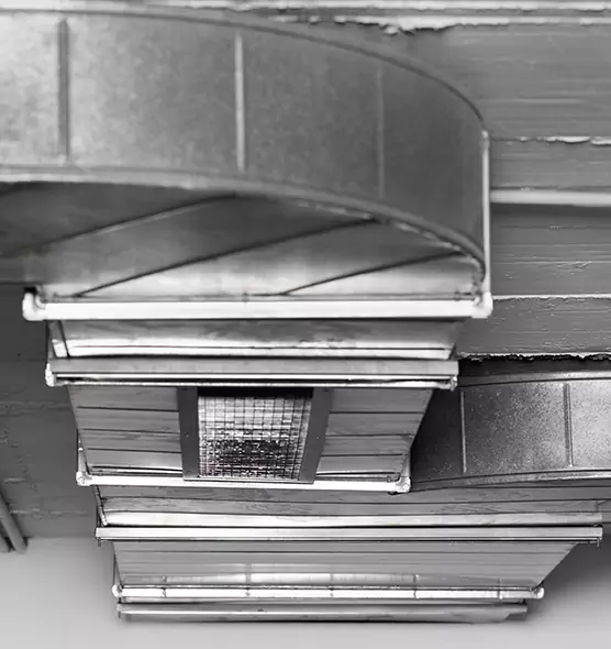 Professional Air Duct Pest Removal in Arroyo Grande, CA