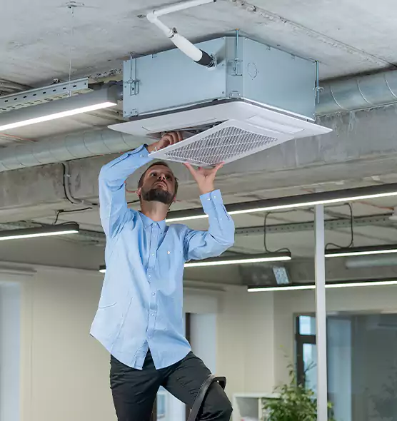 Advanced Rodent Droppings In Vents in Arroyo Grande, CA