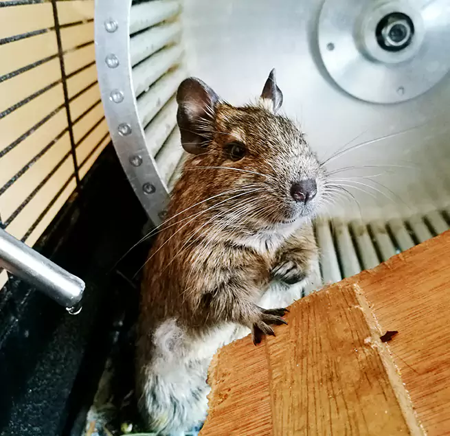 Why Homeowners & Businesses Trust Us Arroyo Grande, CA