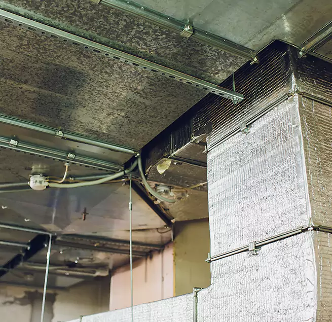 Why Homeowners & Businesses Trust Us in Arroyo Grande, CA?